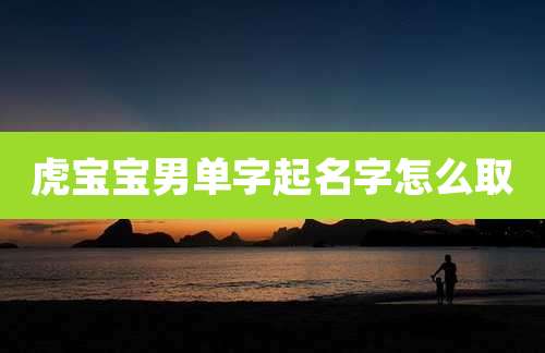 虎宝宝男单字起名字怎么取