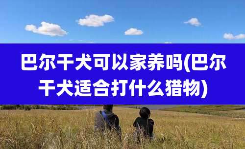 巴尔干犬可以家养吗(巴尔干犬适合打什么猎物)