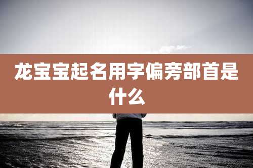 龙宝宝起名用字偏旁部首是什么