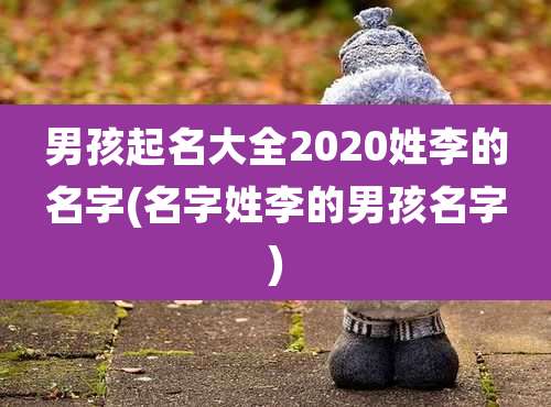 男孩起名大全2020姓李的名字(名字姓李的男孩名字)