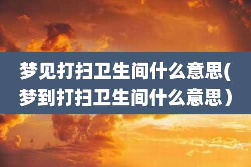 梦见打扫卫生间什么意思(梦到打扫卫生间什么意思)