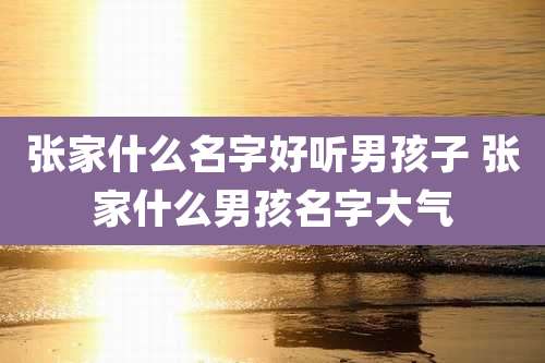 张家什么名字好听男孩子 张家什么男孩名字大气