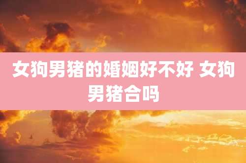 女狗男猪的婚姻好不好 女狗男猪合吗