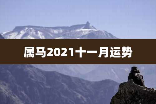 属马2021十一月运势