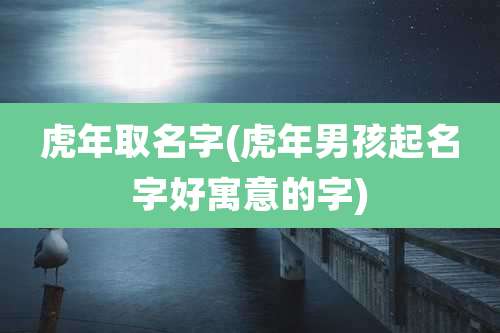 虎年取名字(虎年男孩起名字好寓意的字)