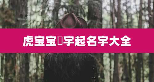 虎宝宝璟字起名字大全