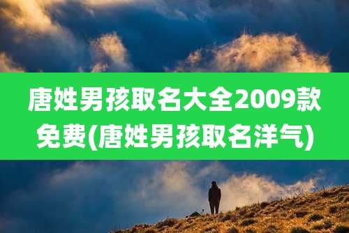 唐姓男孩取名大全2009款免费(唐姓男孩取名洋气)