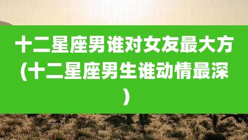 十二星座男谁对女友最大方(十二星座男生谁动情最深)