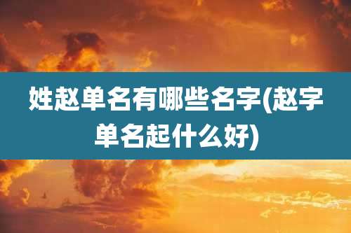 姓赵单名有哪些名字(赵字单名起什么好)