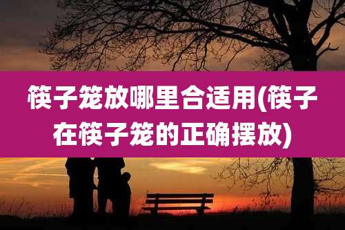 筷子笼放哪里合适用(筷子在筷子笼的正确摆放)