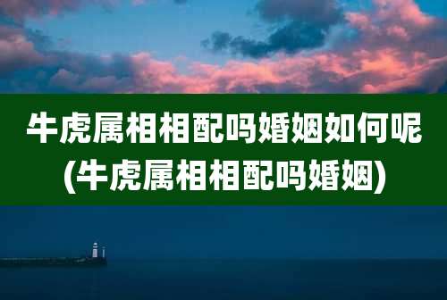 牛虎属相相配吗婚姻如何呢(牛虎属相相配吗婚姻)