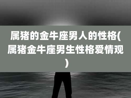 属猪的金牛座男人的性格(属猪金牛座男生性格爱情观)