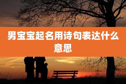 男宝宝起名用诗句表达什么意思