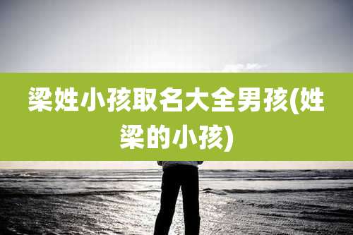 梁姓小孩取名大全男孩(姓梁的小孩)