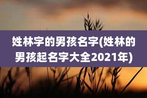 姓林字的男孩名字(姓林的男孩起名字大全2021年)