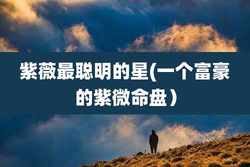 紫薇最聪明的星(一个富豪的紫微命盘)