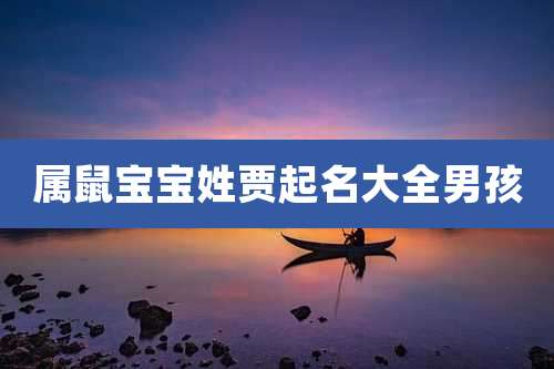 属鼠宝宝姓贾起名大全男孩