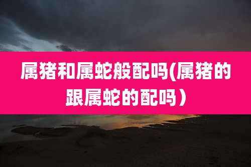 属猪和属蛇般配吗(属猪的跟属蛇的配吗)