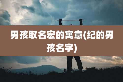 男孩取名宏的寓意(纪的男孩名字)