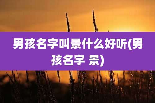 男孩名字叫景什么好听(男孩名字 景)