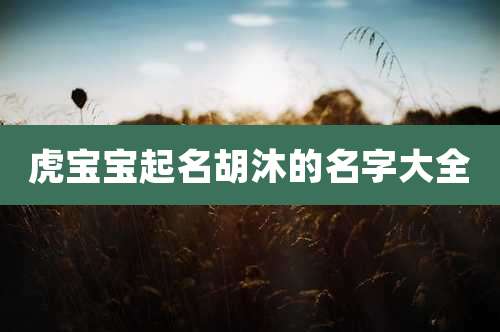 虎宝宝起名胡沐的名字大全