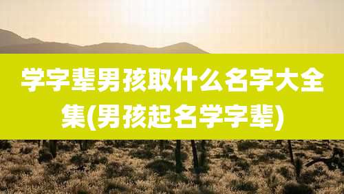 学字辈男孩取什么名字大全集(男孩起名学字辈)