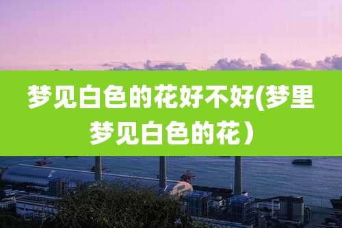 梦见白色的花好不好(梦里梦见白色的花)