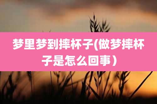 梦里梦到摔杯子(做梦摔杯子是怎么回事)