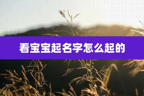 看宝宝起名字怎么起的