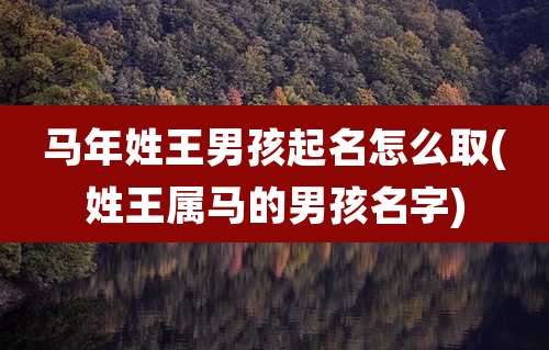 马年姓王男孩起名怎么取(姓王属马的男孩名字)