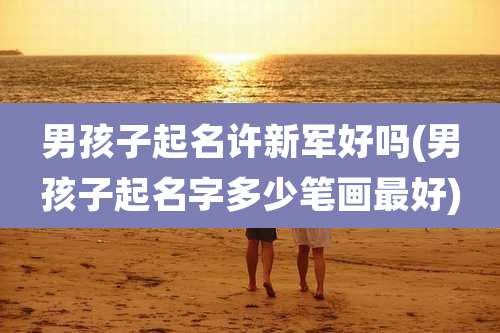 男孩子起名许新军好吗(男孩子起名字多少笔画最好)