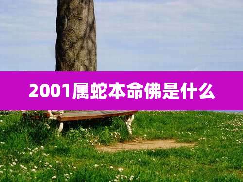 2001属蛇本命佛是什么