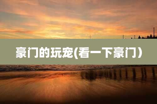 豪门的玩宠(看一下豪门)