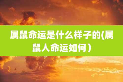 属鼠命运是什么样子的(属鼠人命运如何)