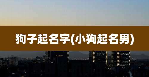 狗子起名字(小狗起名男)