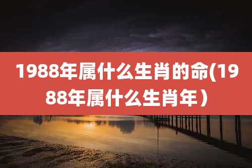 1988年属什么生肖的命(1988年属什么生肖年）