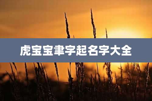 虎宝宝聿字起名字大全