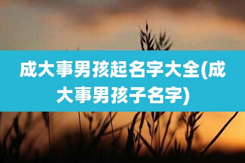成大事男孩起名字大全(成大事男孩子名字)