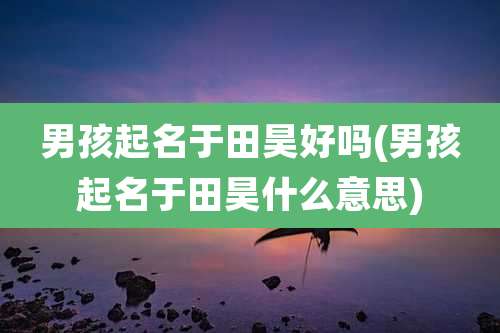 男孩起名于田昊好吗(男孩起名于田昊什么意思)