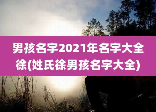 男孩名字2021年名字大全徐(姓氏徐男孩名字大全)