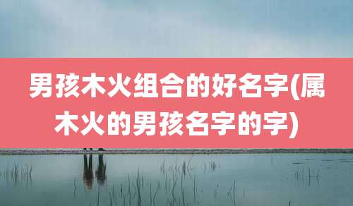 男孩木火组合的好名字(属木火的男孩名字的字)