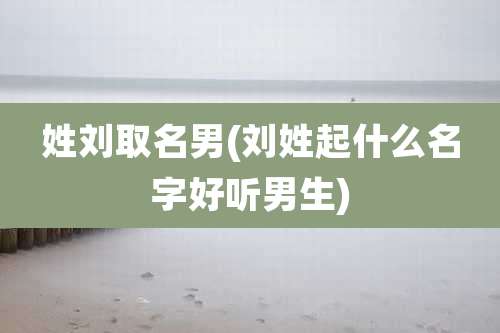 姓刘取名男(刘姓起什么名字好听男生)