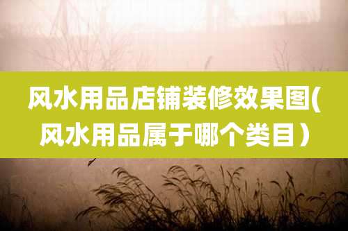 风水用品店铺装修效果图(风水用品属于哪个类目）