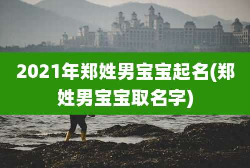 2021年郑姓男宝宝起名(郑姓男宝宝取名字)