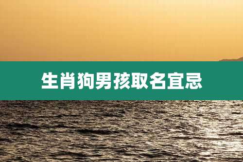 生肖狗男孩取名宜忌