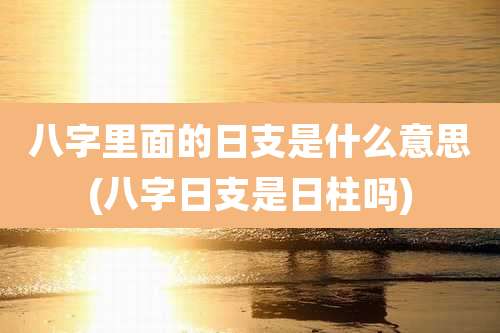 八字里面的日支是什么意思(八字日支是日柱吗)