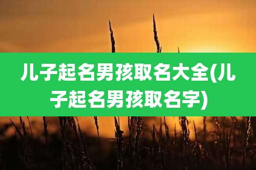 儿子起名男孩取名大全(儿子起名男孩取名字)