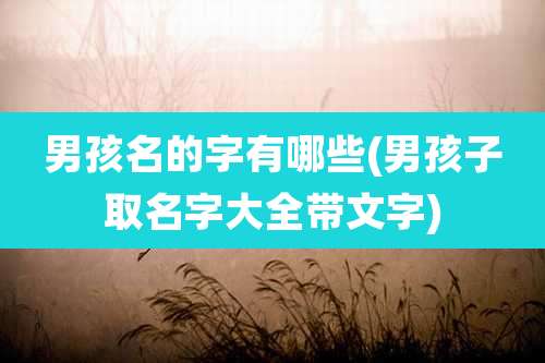 男孩名的字有哪些(男孩子取名字大全带文字)