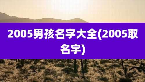 2005男孩名字大全(2005取名字)