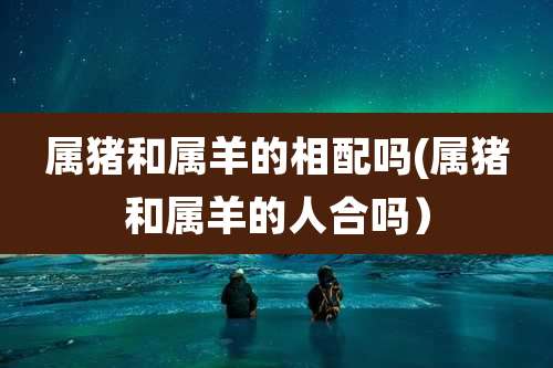 属猪和属羊的相配吗(属猪和属羊的人合吗）